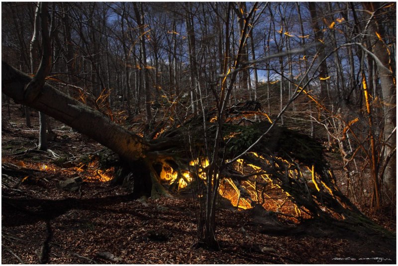 Moncayo 2 0 1 8 (Copy).jpg